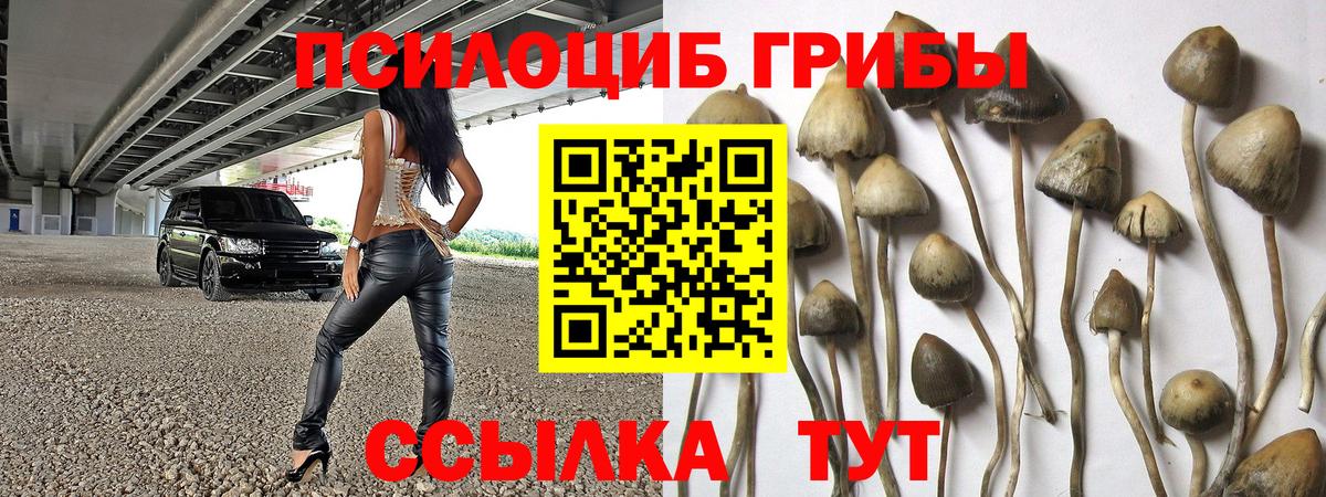 Псилоцибиновые грибы ЛСД  Вход с VPN  Мурманск 