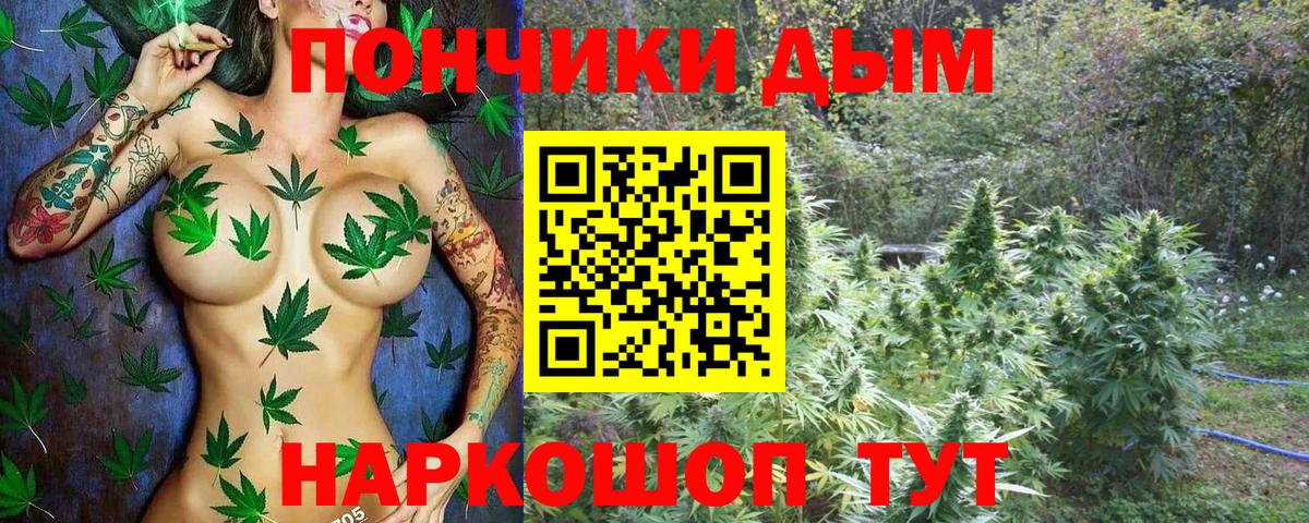 Мурманск  Бошки Шишки тримм  МАРИХУАНА конопля  Вход с VPN 